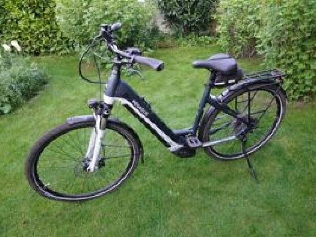 eBike - Pegasus Premio EVO 10 Lite 750 - 1